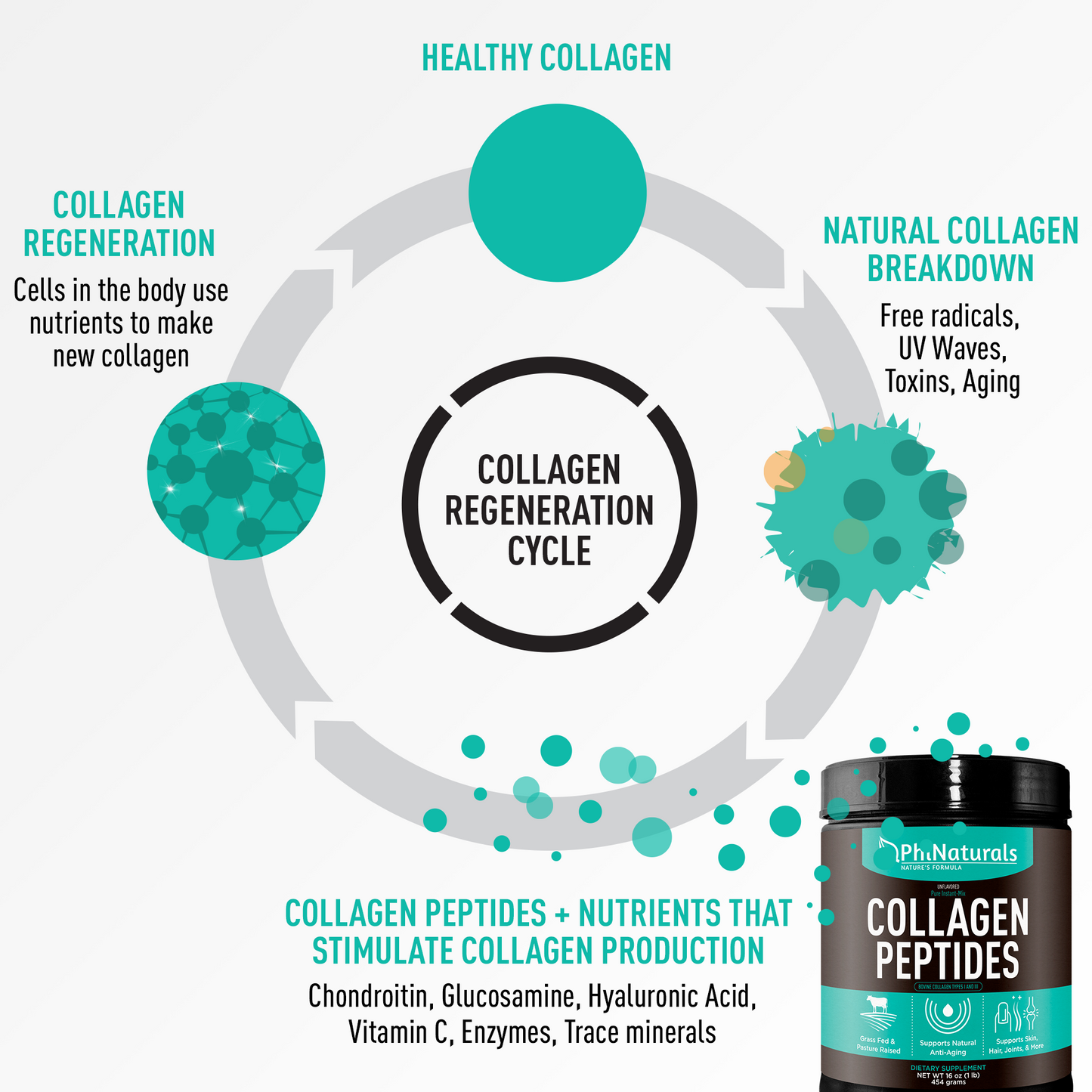 Hydrolyzed Collagen Peptides