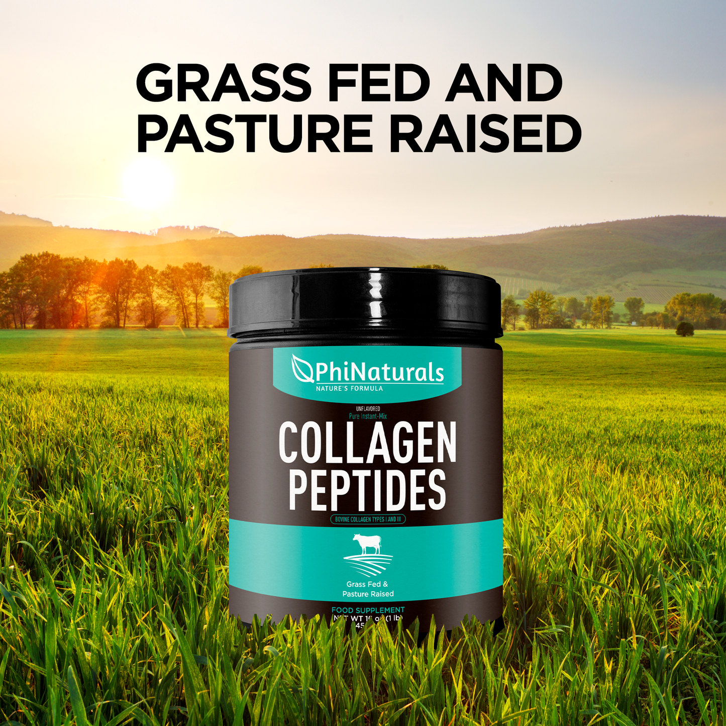 Hydrolyzed Collagen Peptides