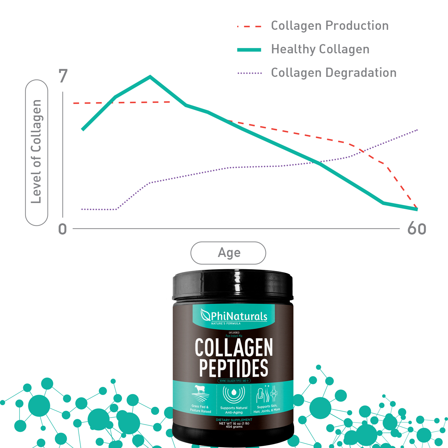 Hydrolyzed Collagen Peptides