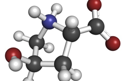 Hydroxyproline (Hyp) amino acid. Essential component of collagen.